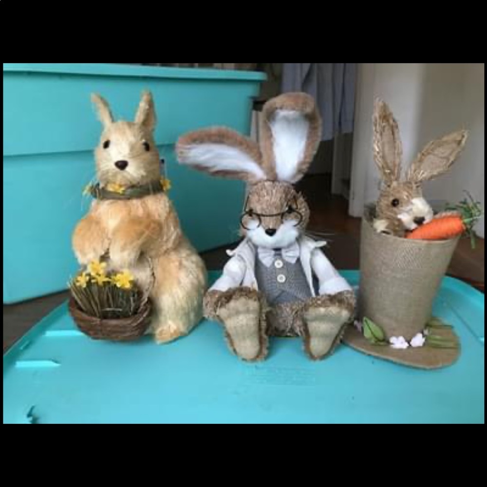 Bunny decor